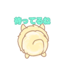わたポメ2（個別スタンプ：18）