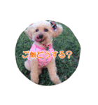 ハッピーらんらん（個別スタンプ：2）