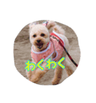 ハッピーらんらん（個別スタンプ：5）