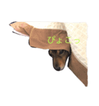 ココちゃんいろいろ（個別スタンプ：4）