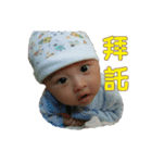 小樂生活（個別スタンプ：19）