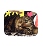 オハナ ナハナハナハ（個別スタンプ：10）