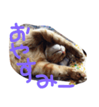 オハナ ナハナハナハ（個別スタンプ：11）