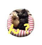 オハナ ナハナハナハ（個別スタンプ：13）
