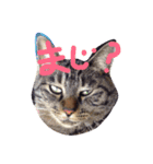オハナ ナハナハナハ（個別スタンプ：16）