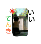くろいろいろ（個別スタンプ：27）