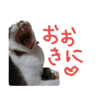 我が家の日常スタンプ（個別スタンプ：2）