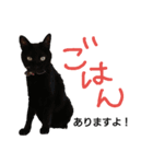 我が家の日常スタンプ（個別スタンプ：4）