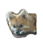 HAPPYorkimoti（個別スタンプ：8）