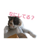 柑橘たちの日常（個別スタンプ：4）