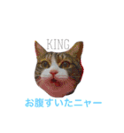 king ＆ Ai（個別スタンプ：1）