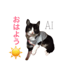 king ＆ Ai（個別スタンプ：7）