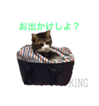 king ＆ Ai（個別スタンプ：10）