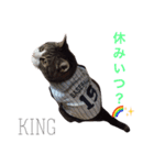 king ＆ Ai（個別スタンプ：13）
