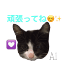 king ＆ Ai（個別スタンプ：16）