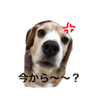r.m.（個別スタンプ：5）