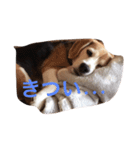 r.m.（個別スタンプ：6）