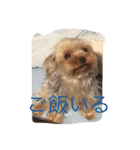 湯都無（個別スタンプ：1）