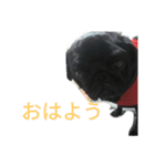 bazu（個別スタンプ：14）