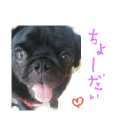 bazu（個別スタンプ：15）