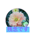 花  Takae（個別スタンプ：4）
