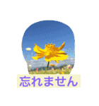 花  Takae（個別スタンプ：14）