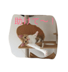 5ニャンと下僕の日々 続（個別スタンプ：2）