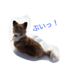 ラブ犬（個別スタンプ：1）