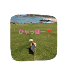 ラブ犬（個別スタンプ：5）