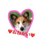 ラブ犬（個別スタンプ：10）