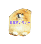 ラブの日常（個別スタンプ：1）