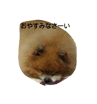 ラブの日常（個別スタンプ：4）