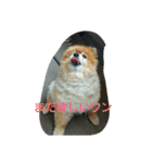 ラブの日常（個別スタンプ：7）