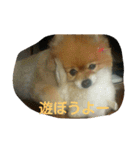 ラブの日常（個別スタンプ：10）