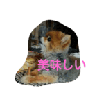 ラブの日常（個別スタンプ：17）