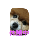 ラブの日常（個別スタンプ：18）