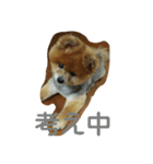 ラブの日常（個別スタンプ：23）