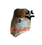 ラブの日常（個別スタンプ：24）