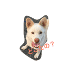 うちの子のきもち（個別スタンプ：1）