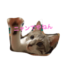 うちの子のきもち（個別スタンプ：6）
