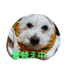 ワクワク（個別スタンプ：2）