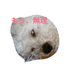 ワクワク（個別スタンプ：3）