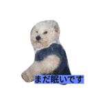 ワクワク（個別スタンプ：8）