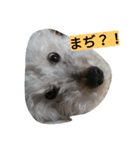 ワクワク（個別スタンプ：9）