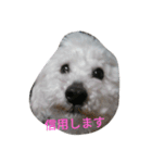ワクワク（個別スタンプ：11）