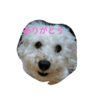 とにかくかわいぃ（個別スタンプ：2）