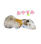 とにかくかわいぃ（個別スタンプ：7）