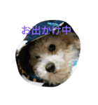 とにかくかわいぃ（個別スタンプ：8）
