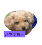 Look at hummy！（個別スタンプ：6）