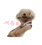Look at hummy！（個別スタンプ：7）